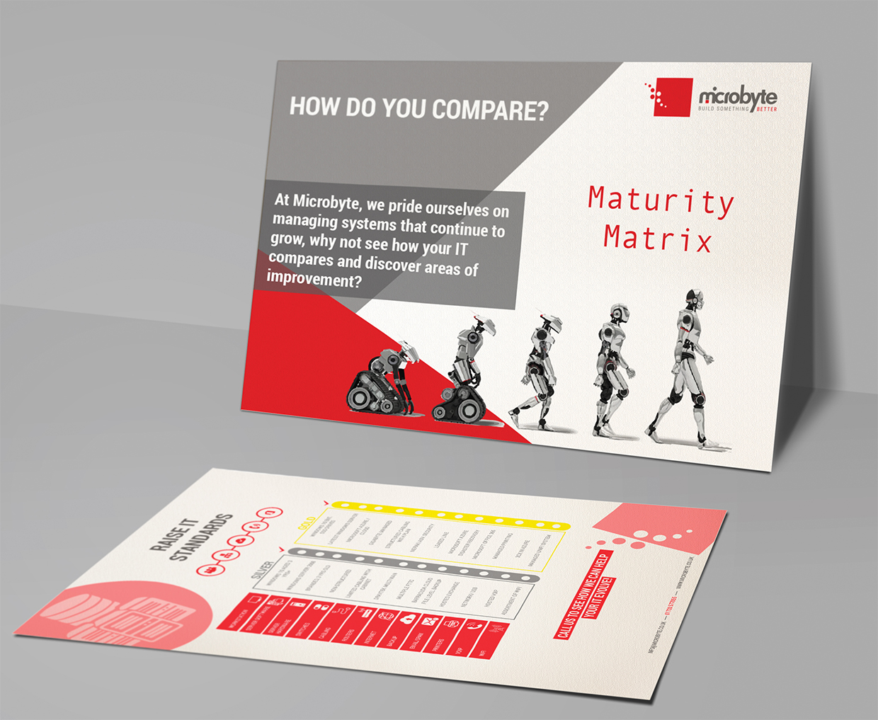 maturity-matrix-mockup
